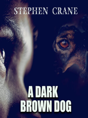cover image of A Dark Brown Dog